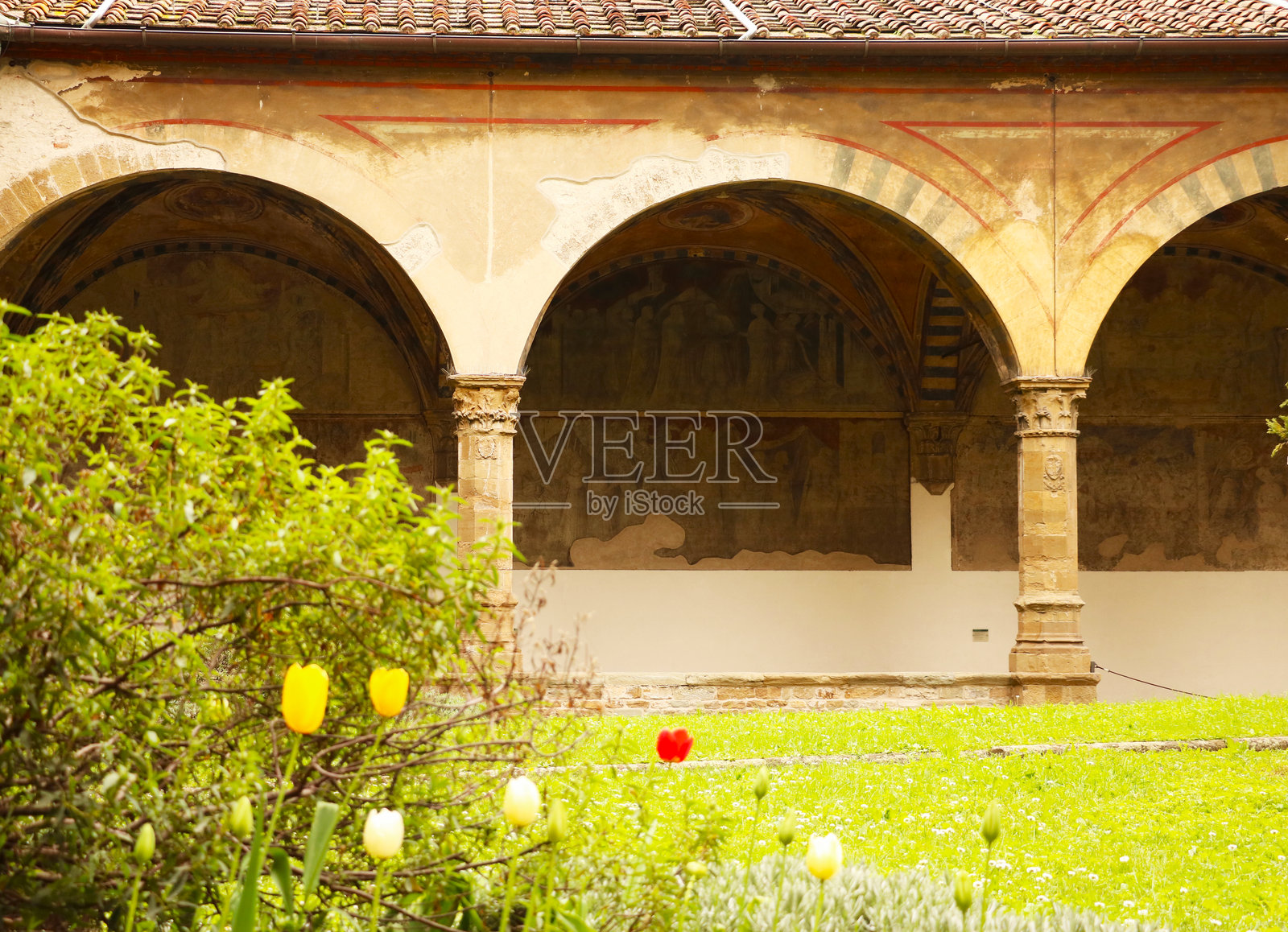 意大利佛罗伦萨的圣玛丽亚诺韦拉历史悠久的回廊，古老的拱门、褪色的壁画以及前景盛开的春天郁金香。照片摄影图片