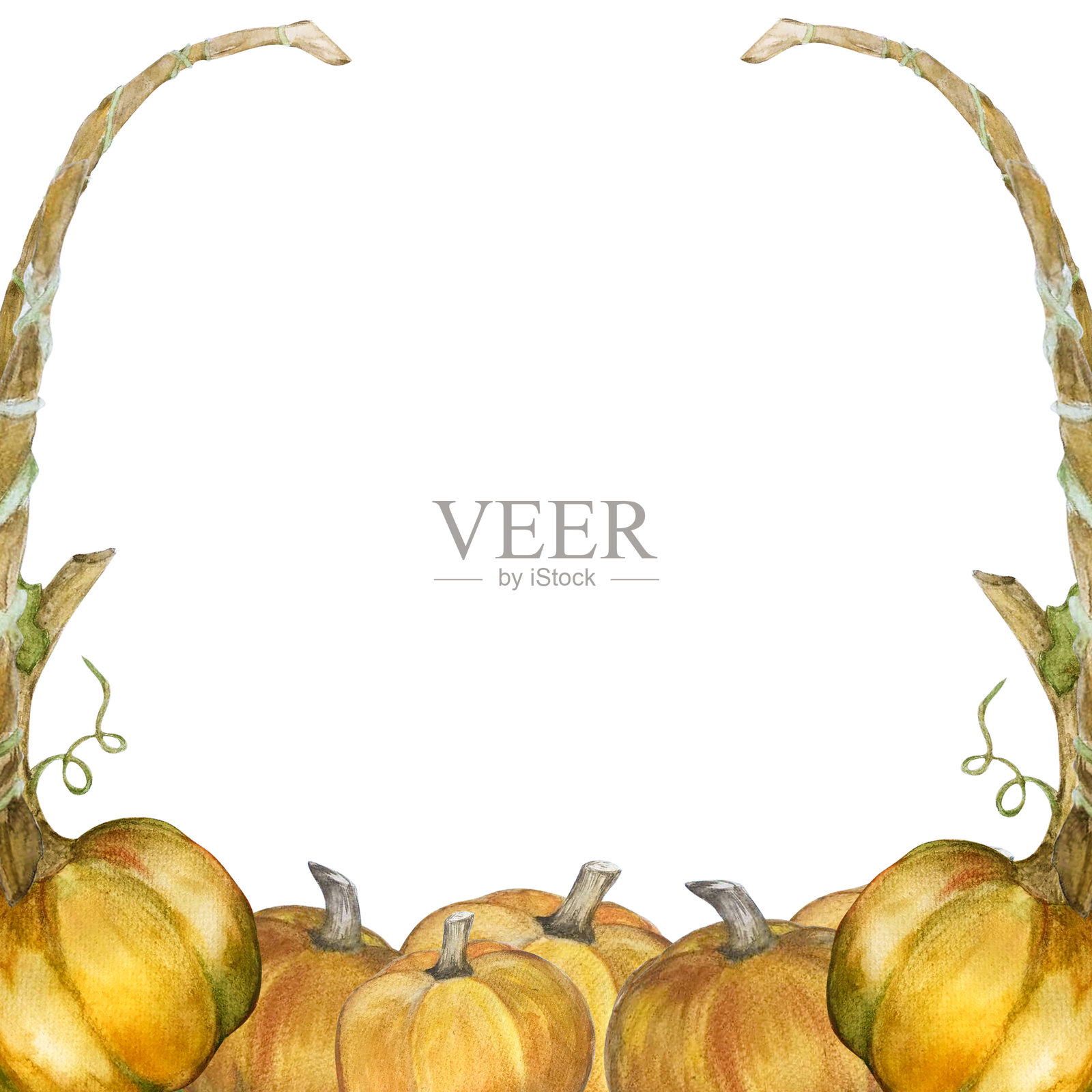 南瓜水彩边框插画图片素材