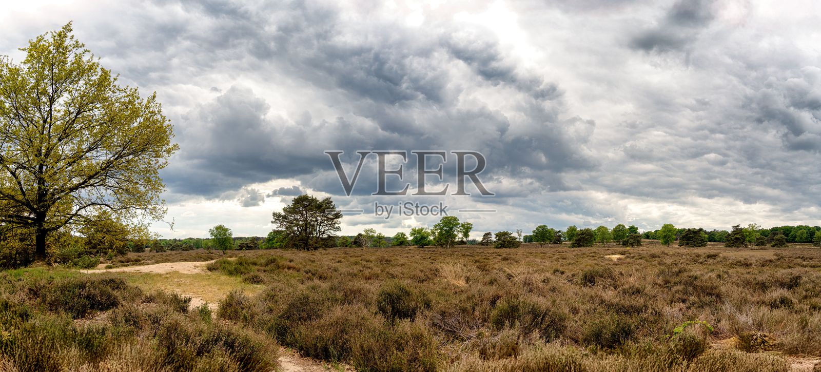 沼泽地在戏剧性的天空下照片摄影图片