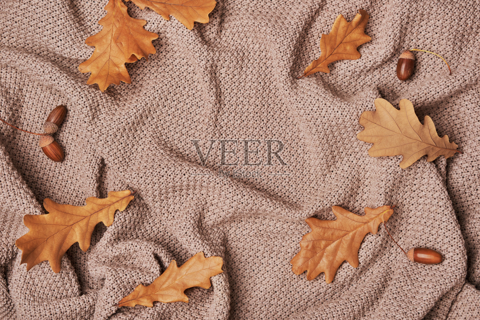秋天的橡树叶和橡果在柔软的米色毛毯上形成框架，留白空间照片摄影图片