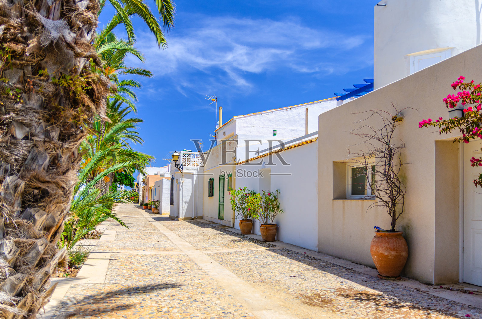 典型的白色房屋，古老的传统建筑，塔尔巴卡岛空旷街道上的棕榈树，阳光明媚的夏日，阿利坎特省，瓦伦西亚自治区，西班牙。照片摄影图片