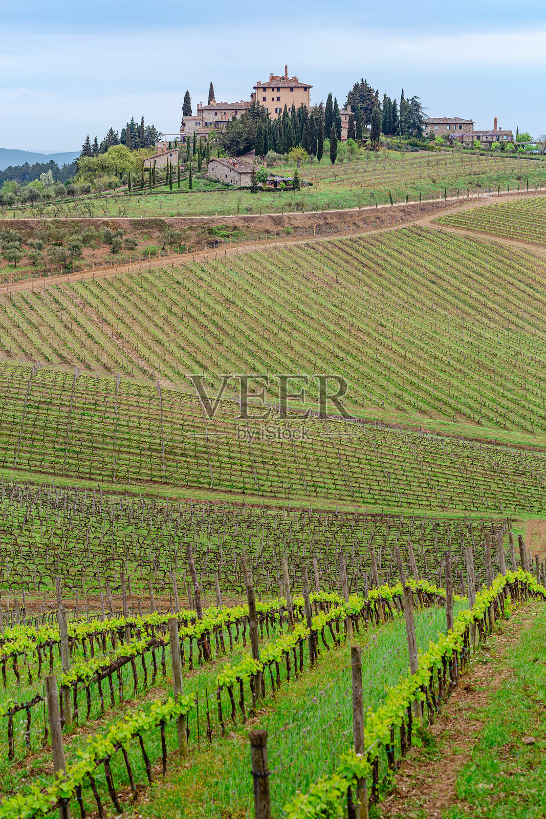意大利托斯卡纳心脏地带的美丽春季风景，绿丘、葡萄园和农舍交相辉映。照片摄影图片