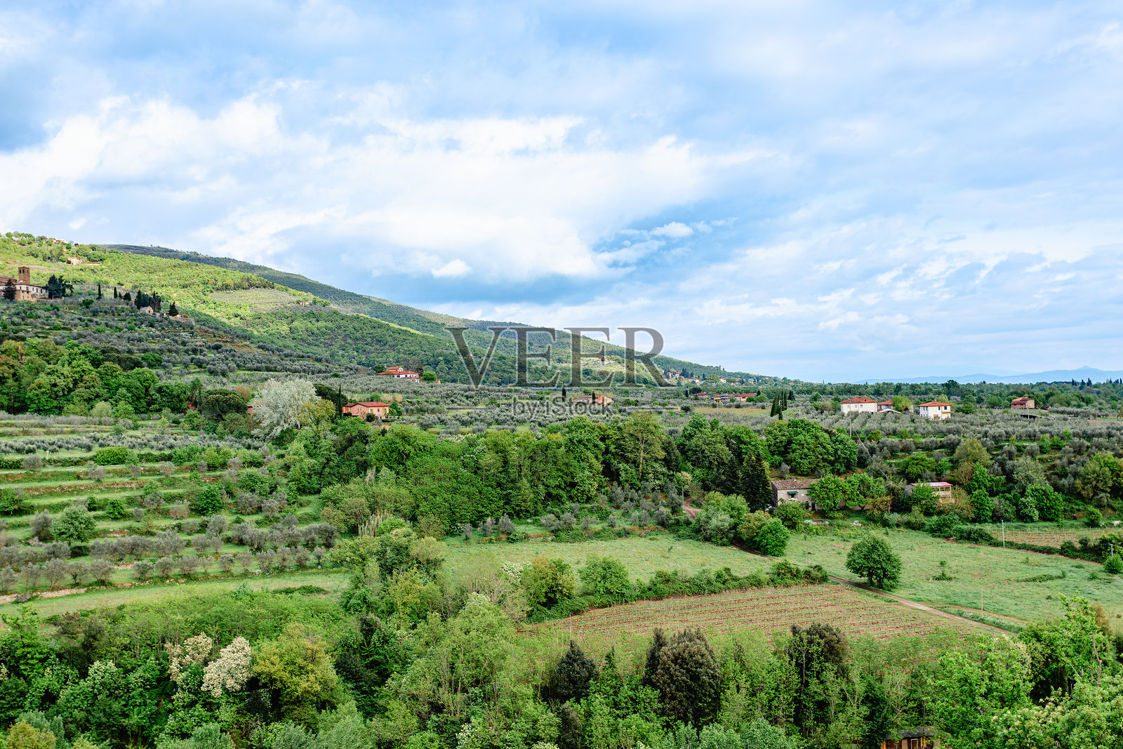 托斯卡纳，意大利，迷人的起伏山丘，橄榄树林和历史建筑的美景照片摄影图片