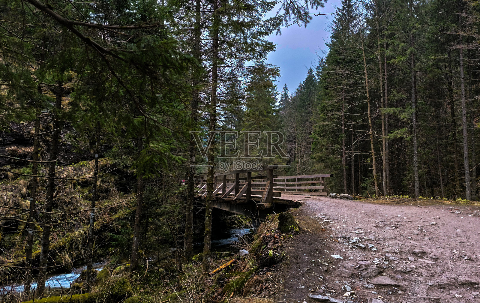 在山间森林小径上漫步，穿过树木和湍急的山间河流。照片摄影图片