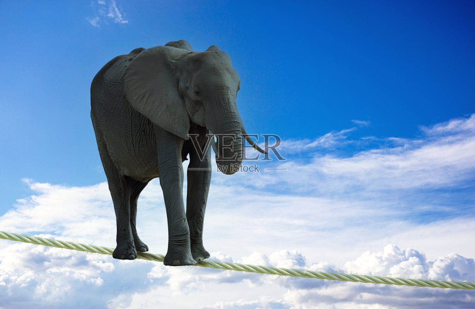 白色背景上孤立的绳子，透明，3D渲染照片摄影图片