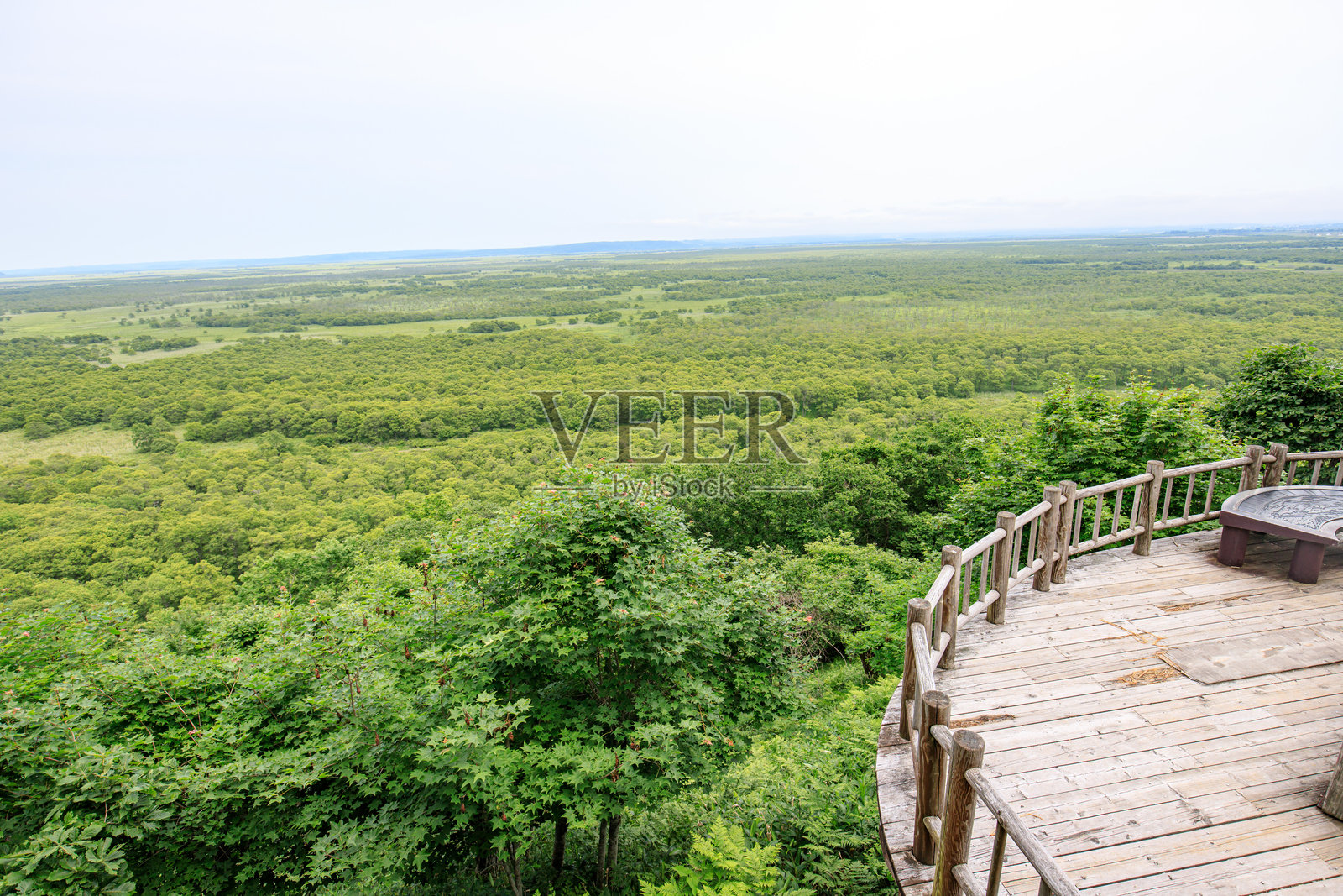 从木质观景台俯瞰广阔的郁郁葱葱的湿地，位于日本北海道的钏路湿原照片摄影图片