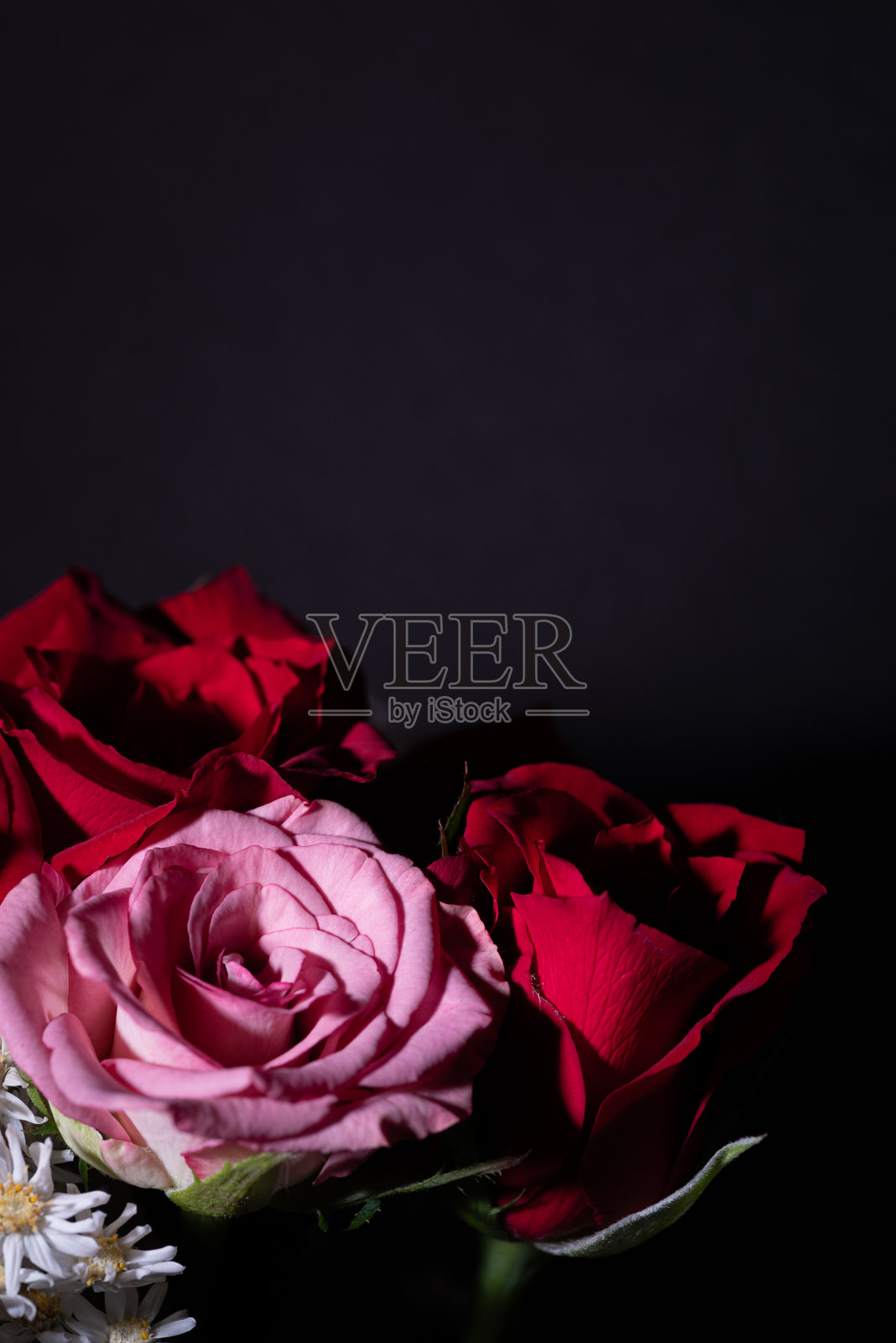 美丽的玫瑰花束照片摄影图片