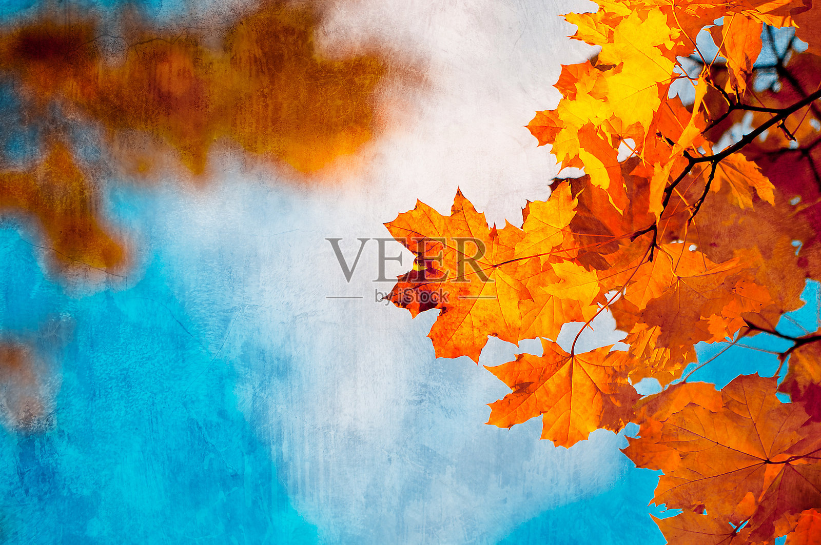 带有秋天树叶的磨损艺术背景。完美的复古秋季纹理。照片摄影图片