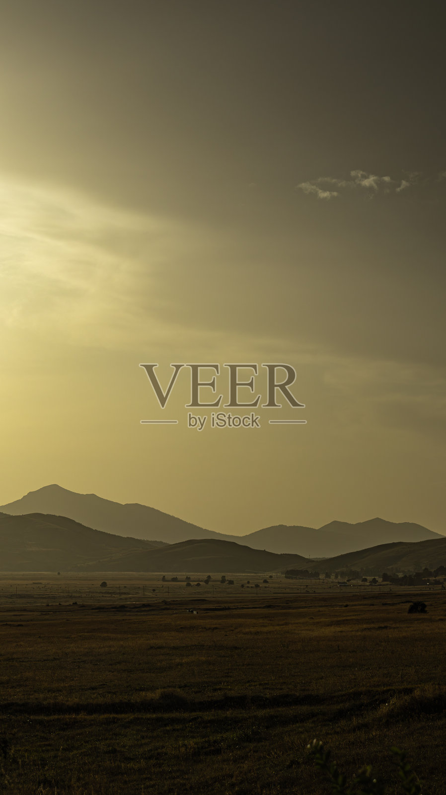 五彩缤纷的高山草甸与花朵照片摄影图片