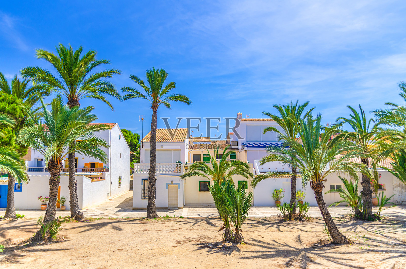 塔尔巴卡岛新平原村镇的空旷街道上，棕榈树小巷和典型的白色老传统建筑，阳光明媚的夏日，西班牙阿利坎特省，瓦伦西亚自治区。照片摄影图片