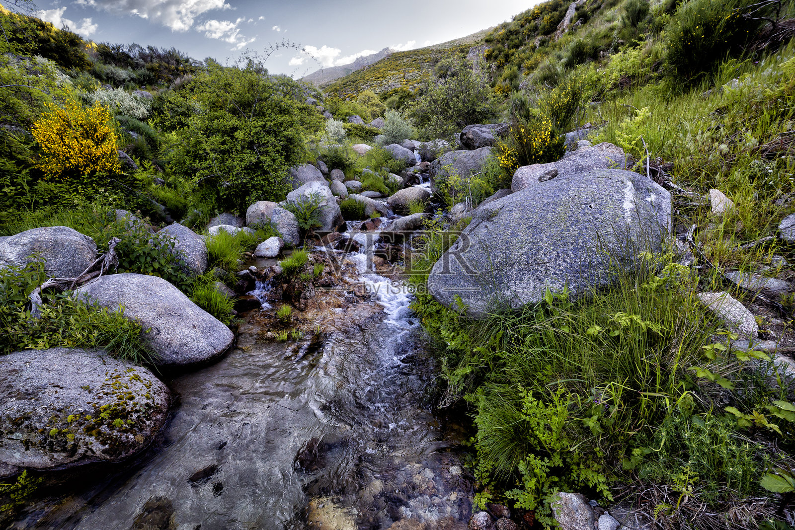 Eliza峡谷溪照片摄影图片