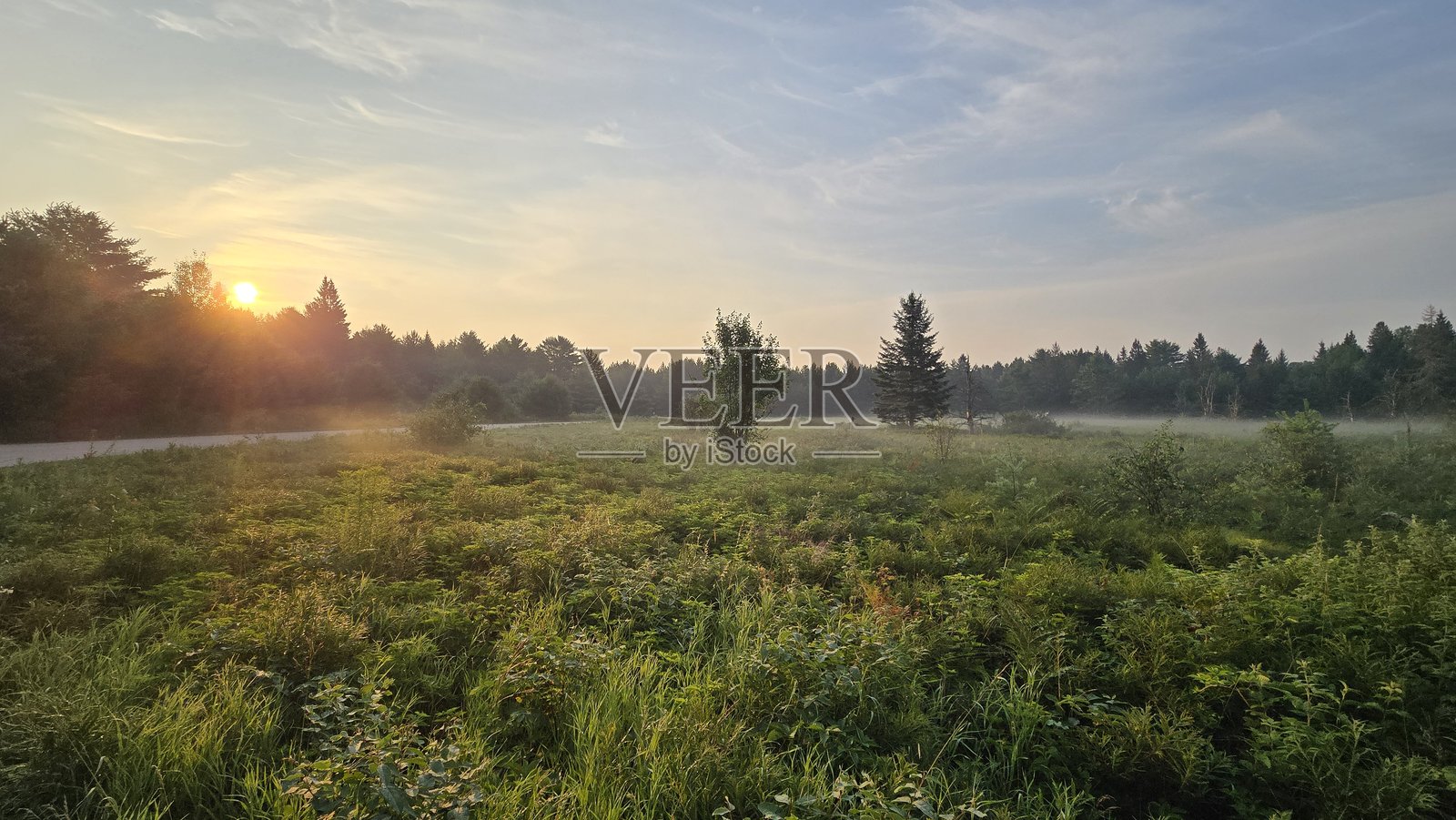 公园日出 - 横向照片摄影图片