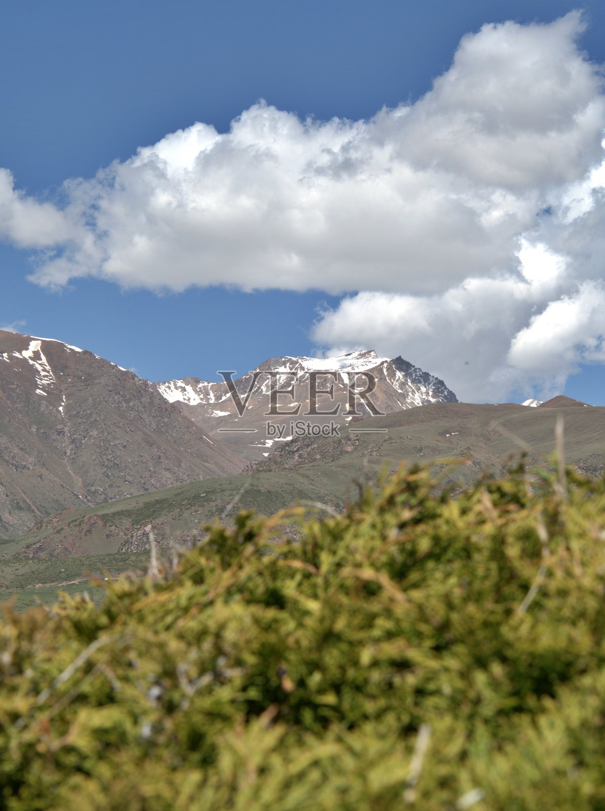 模糊的前景照片摄影图片