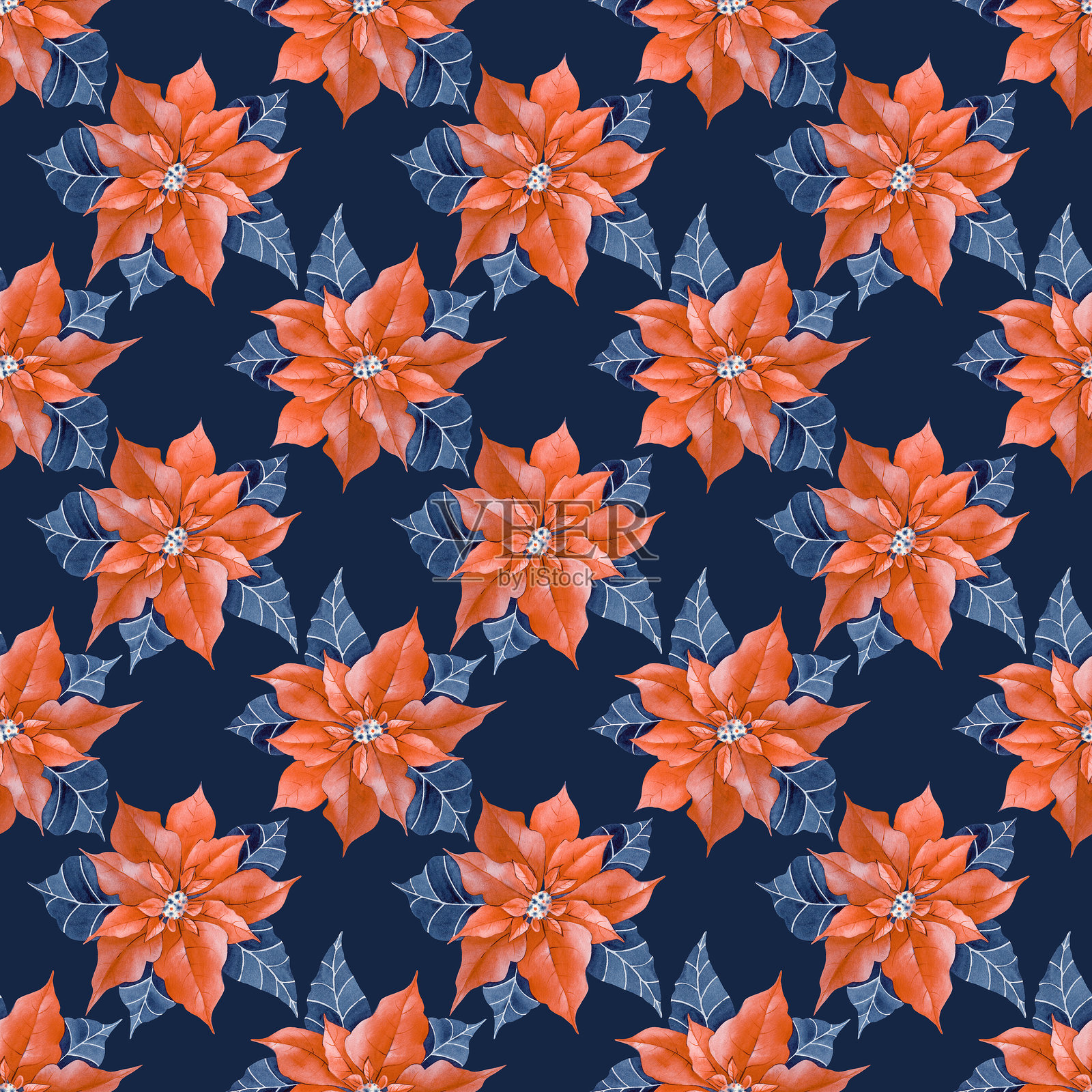 无缝水彩图案，深蓝色背景上的红色一品红，手绘。传统冬季节日花卉的植物插图，适用于壁纸、纺织品和包装。插画图片素材