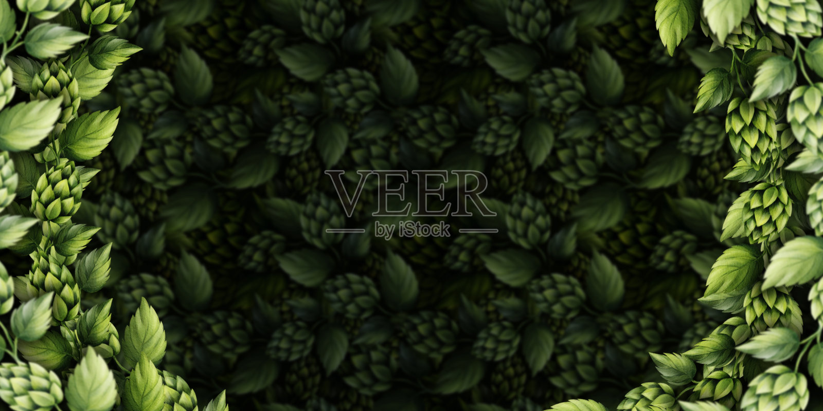 绿色啤酒花背景与叶子插画图片素材