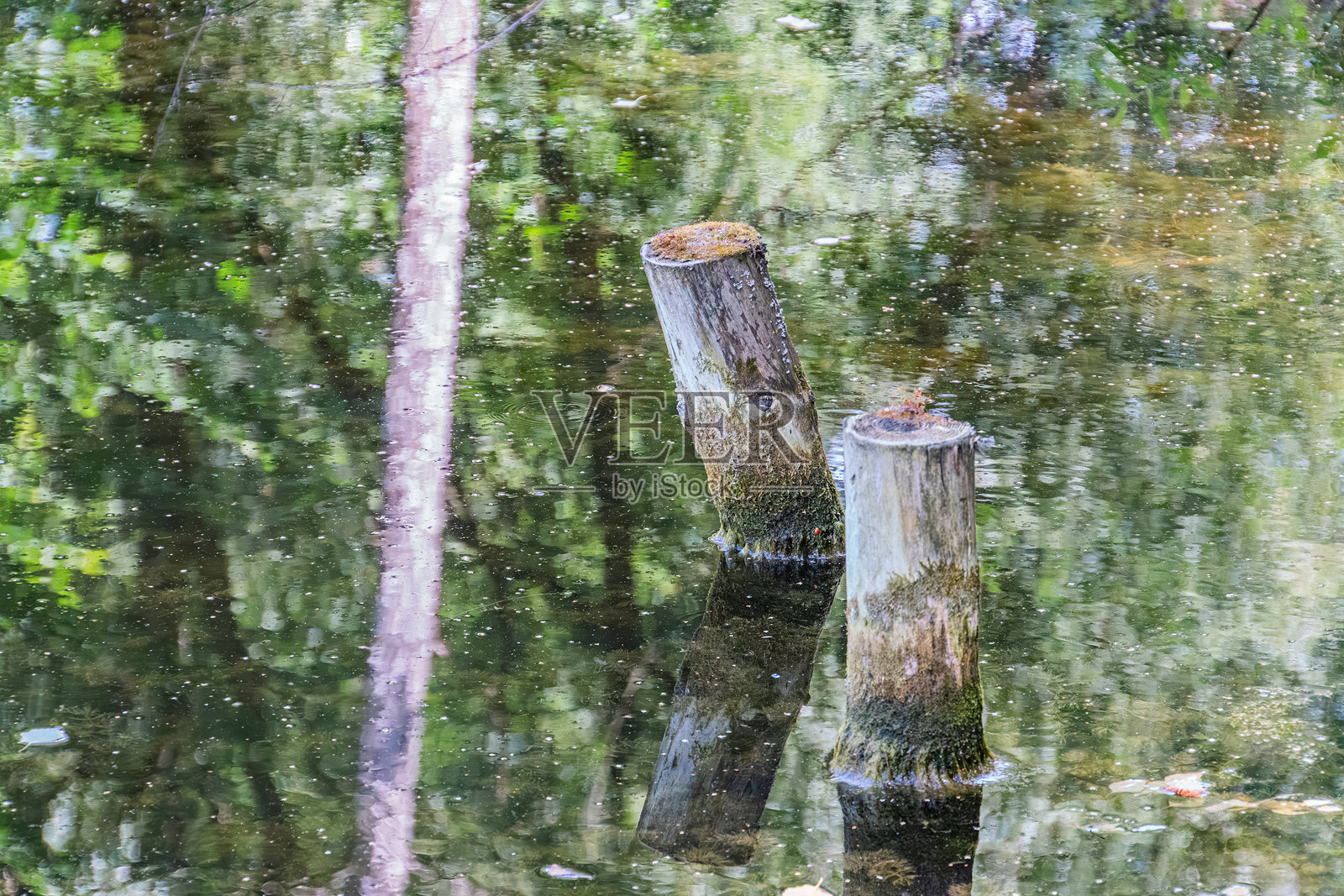 阴云密布的古老中欧村庄，平静的湖面映照出两根直立的杆子，形成远处树木和灌木的对称景观。写实风格强调自然之美。照片摄影图片