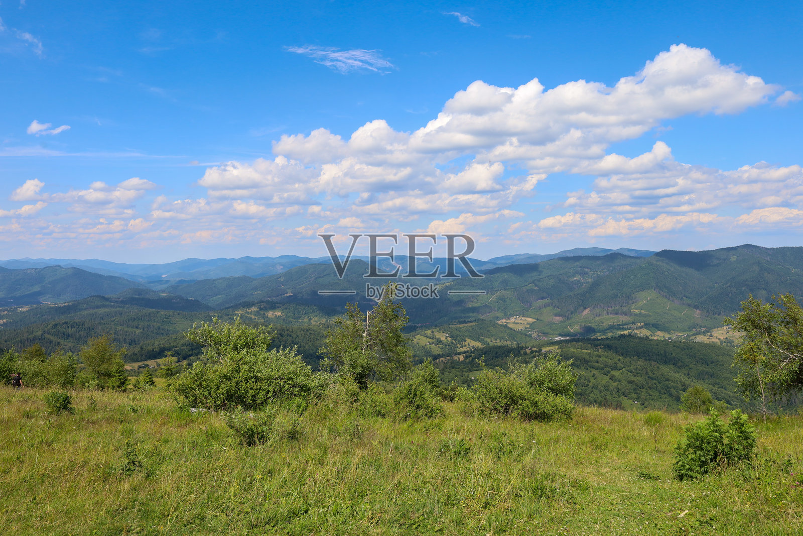 壮丽的山脉全景，覆盖着茂密的绿色森林。前景是一片宽阔的田野，延伸至充满无尽模糊山脉的地平线。照片摄影图片
