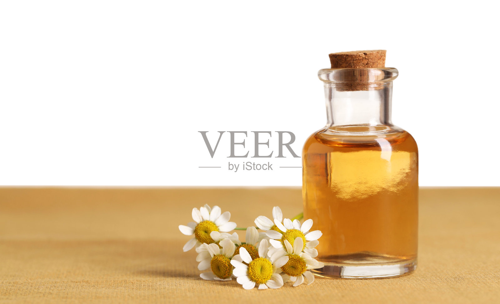 桌子上放着一瓶精油和洋甘菊花，背景为白色。照片摄影图片