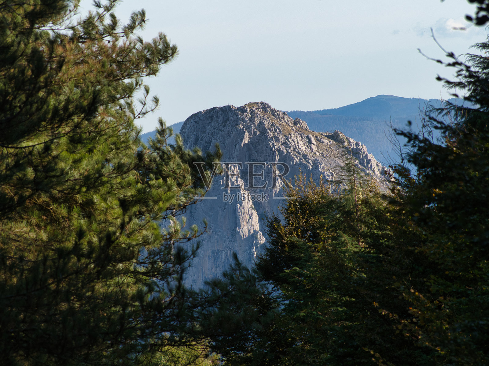 被森林树木环绕的崎岖山峰 - 一幅戏剧性的景观，展示了被绿色树木环绕的岩石山峰，蓝天和远处的山丘。照片摄影图片