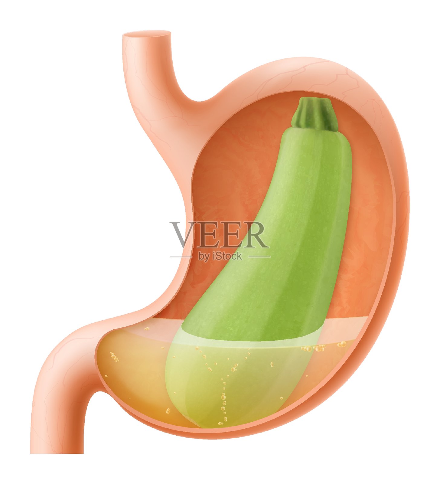 网络插画图片素材