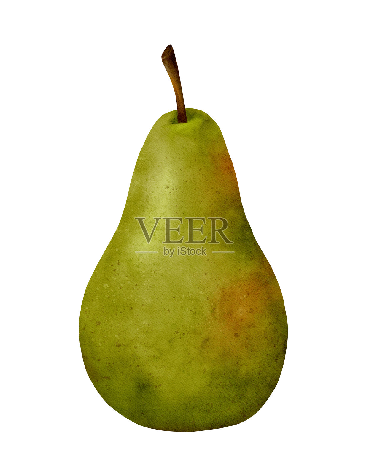 一只新鲜的绿色梨放在干净的白色背景上，以突出其生动的魅力插画图片素材