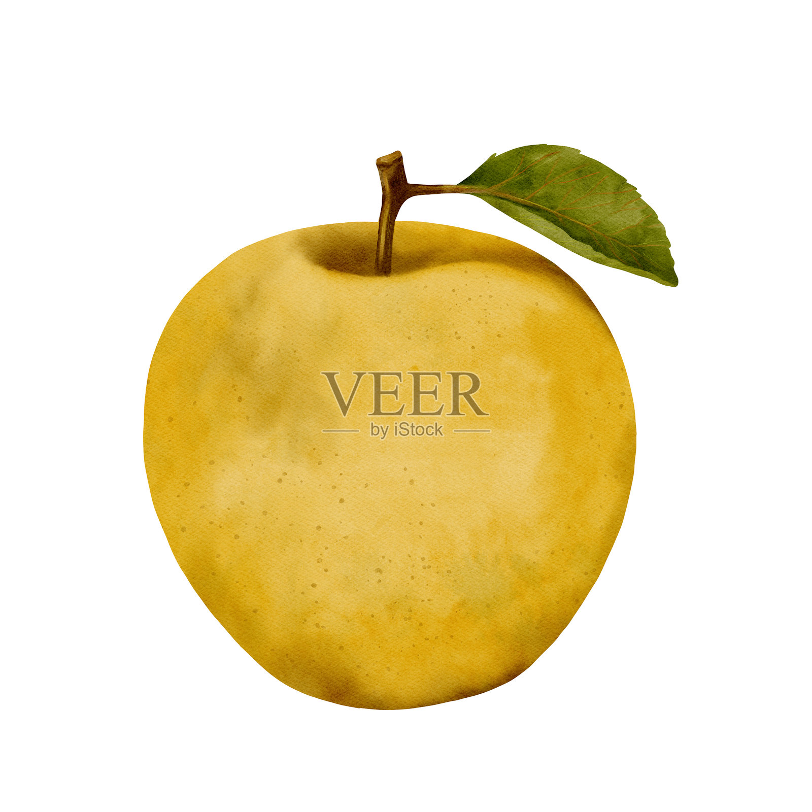 一幅充满色彩的生动新鲜插图，描绘了一只带叶子的黄色苹果插画图片素材