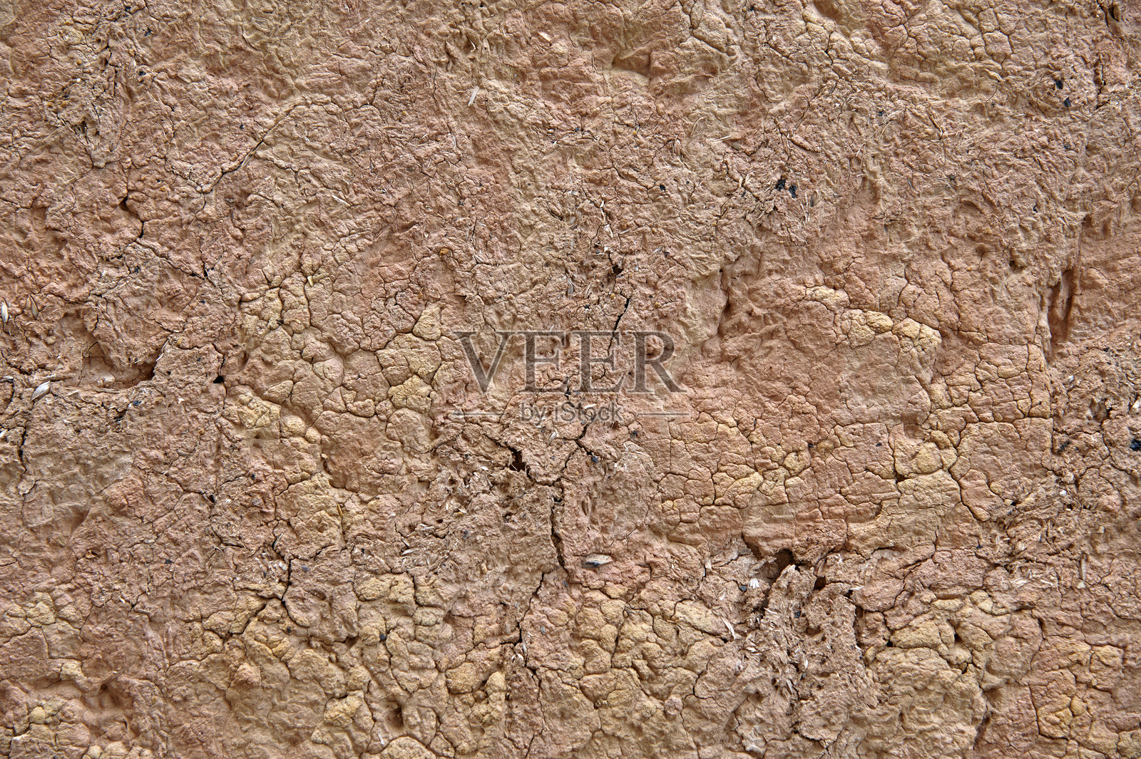 干裂的泥土纹理背景照片摄影图片