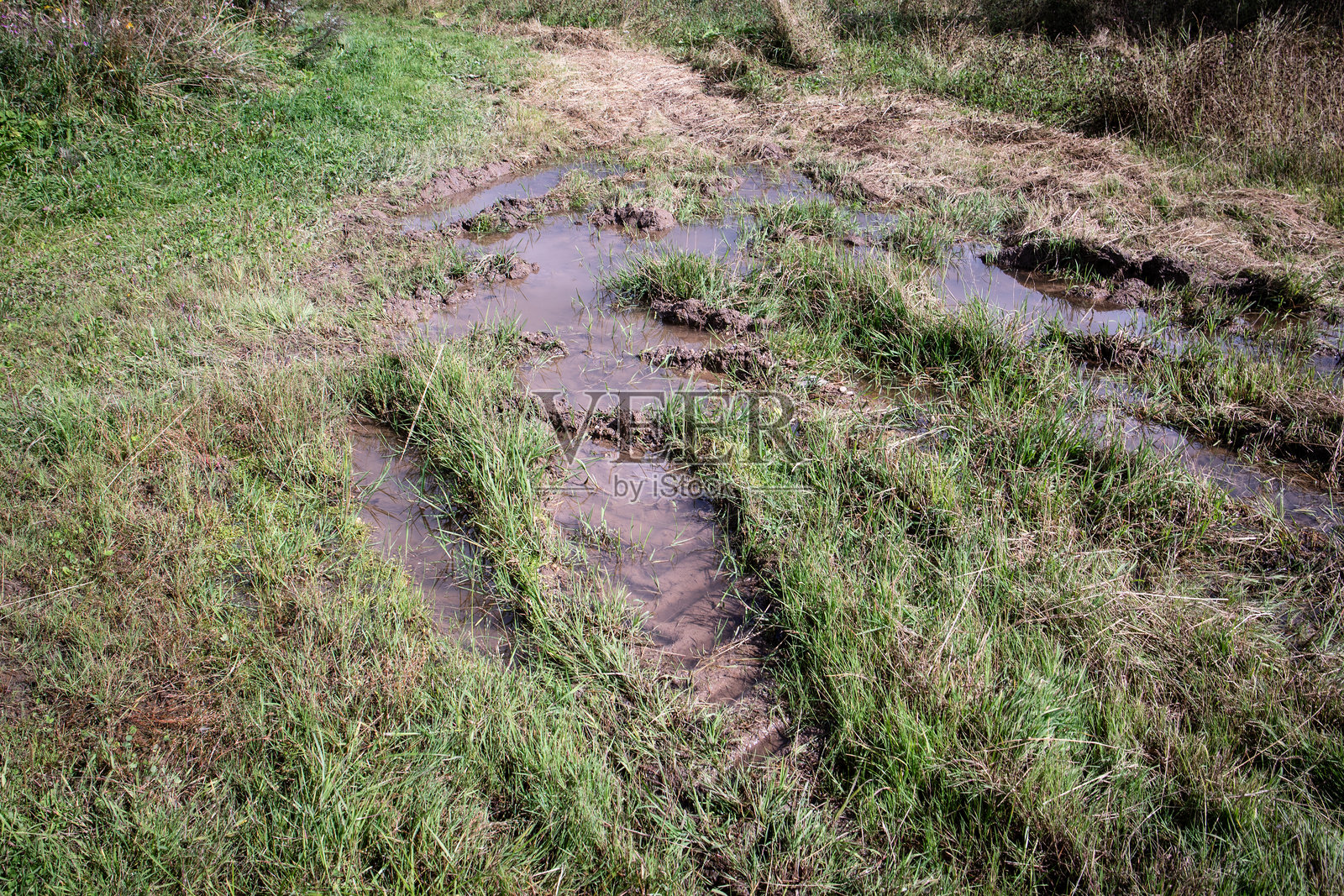 深厚泥泞的轮胎痕迹出现在大雨后的湿润乡村草地上，显示出土壤受损和排水不良。照片摄影图片