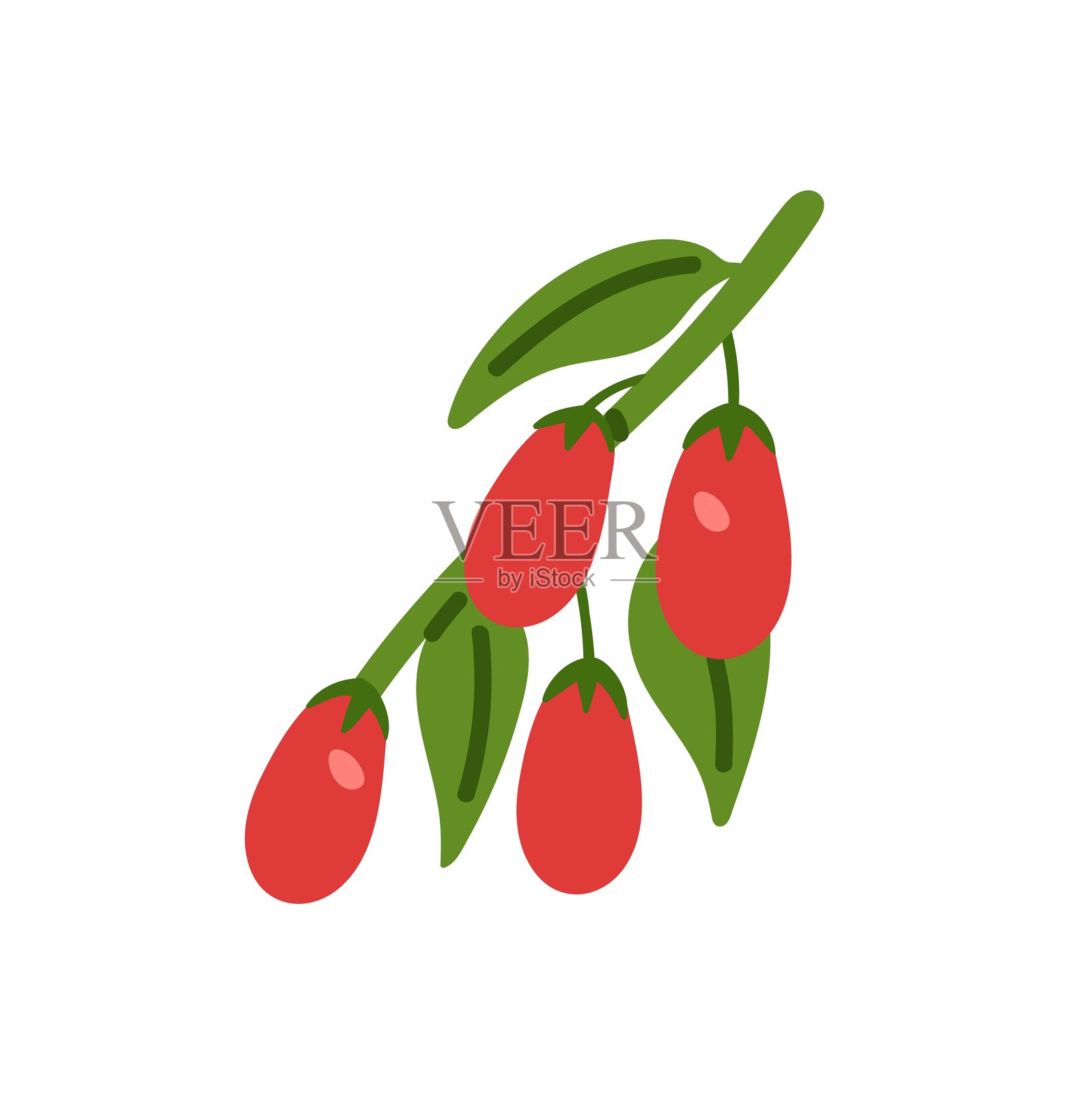 小果酸果、狗木或枸杞的图标。带有红色浆果和绿色叶子的果树枝条。小枝的黄连。素食者的健康食品。白色背景上的平面孤立矢量插图。插画图片素材