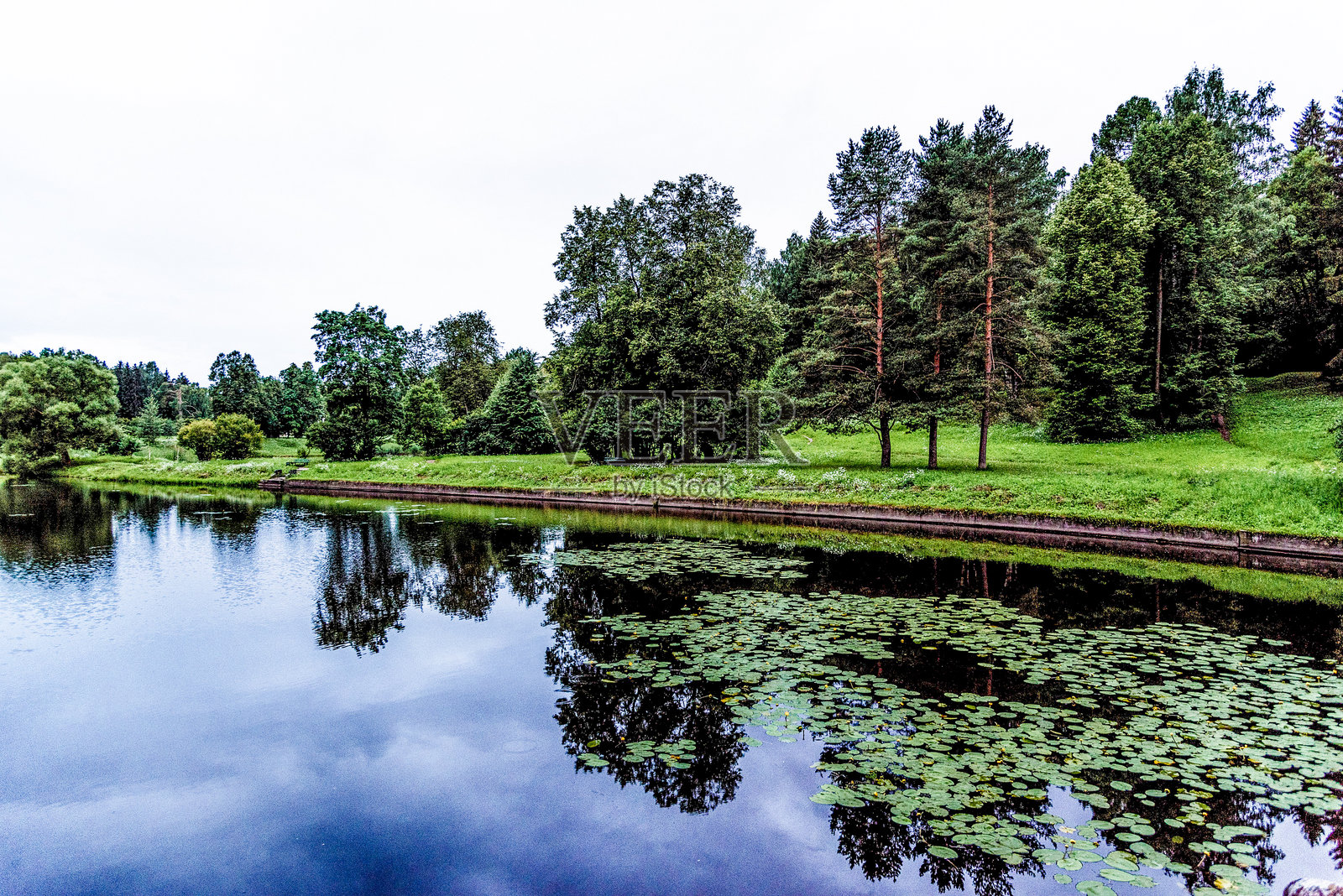 帕夫洛夫斯克公园的全景风景，秋季的树木、草地、草坪和小径照片摄影图片