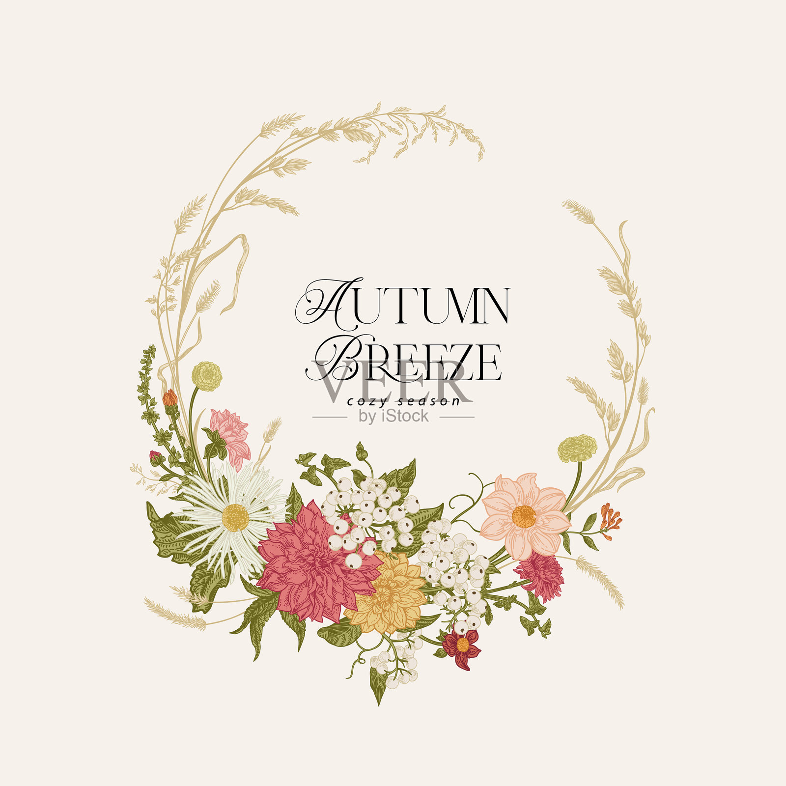 带有圆形花环的贺卡插画图片素材