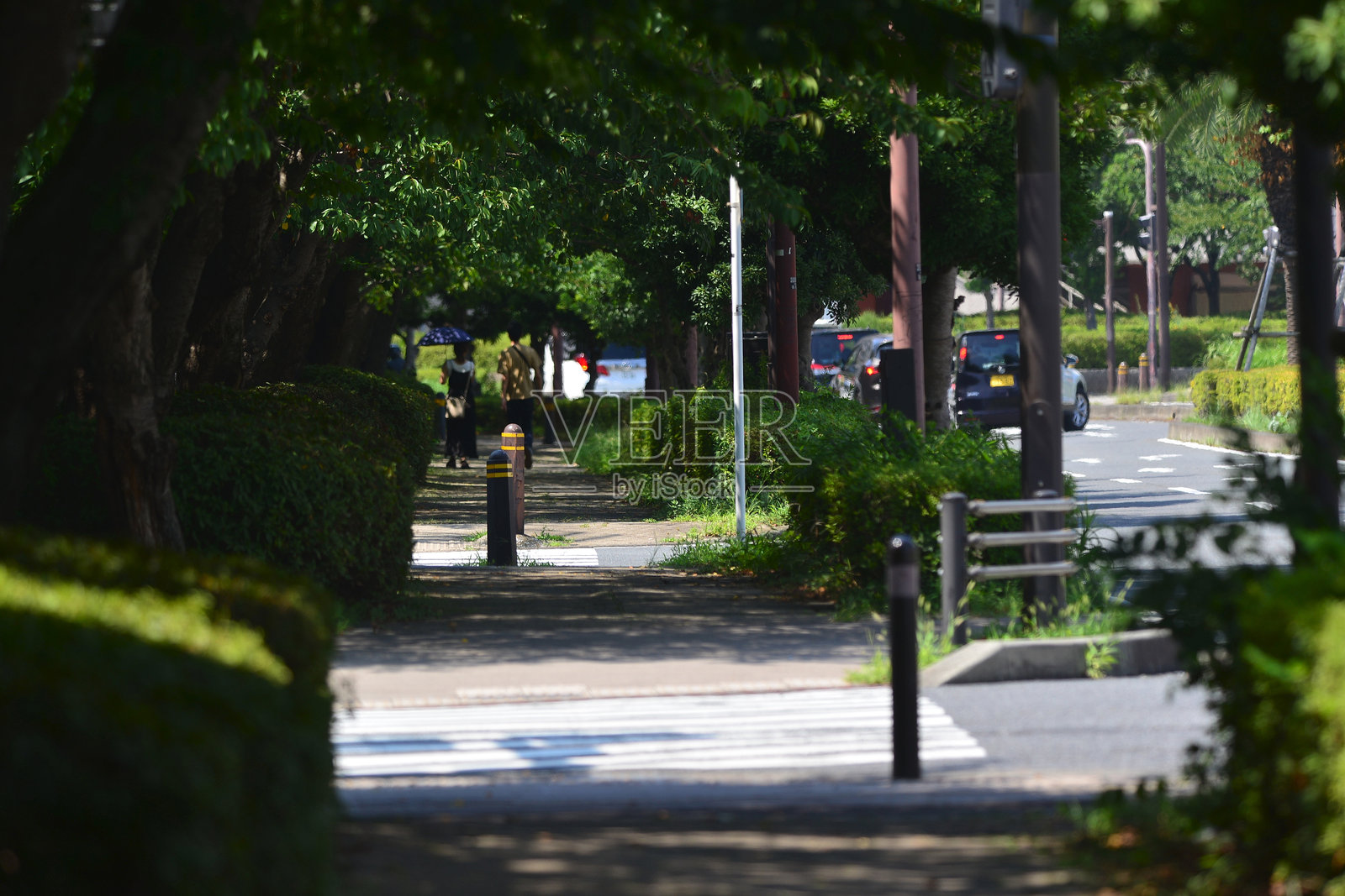 海岸公路的景观照片摄影图片