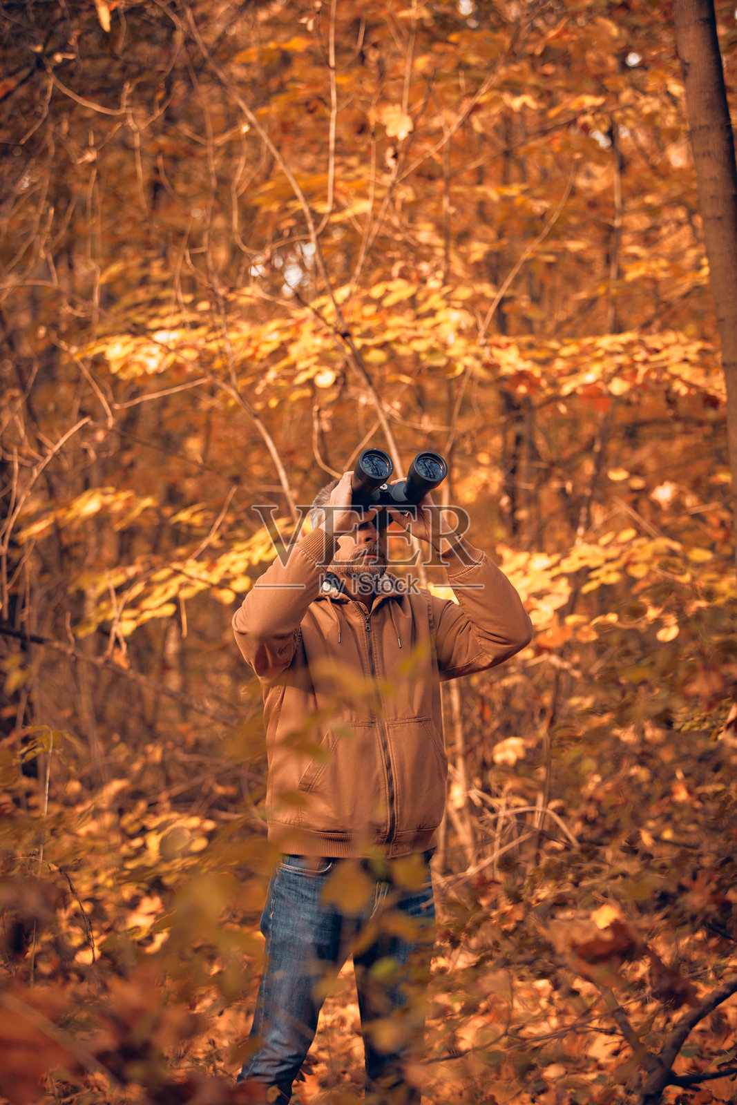 业余鸟类观察者用望远镜观察自然中的鸟类和其他动物。照片摄影图片