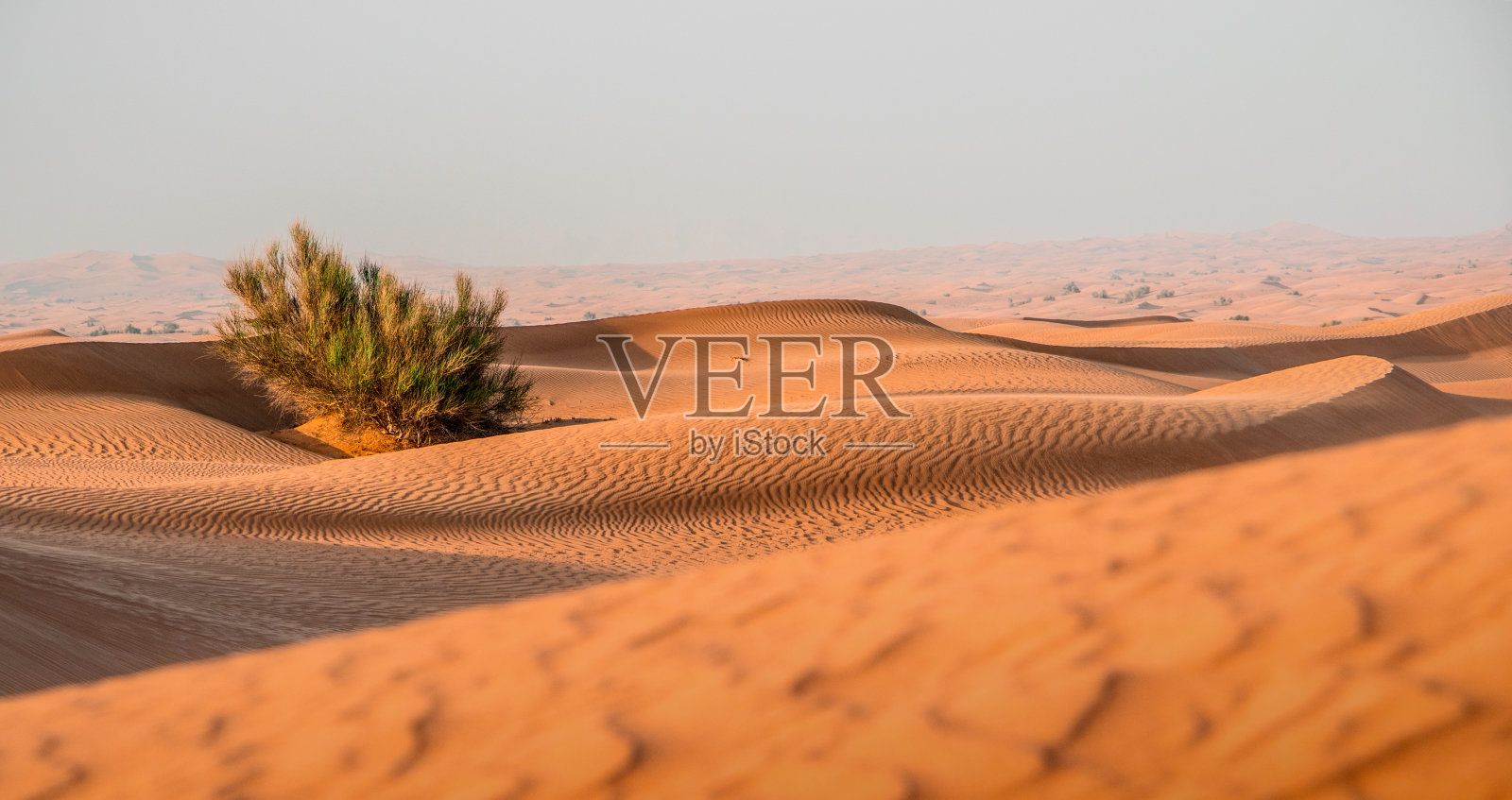 迪拜沙丘日落照片摄影图片