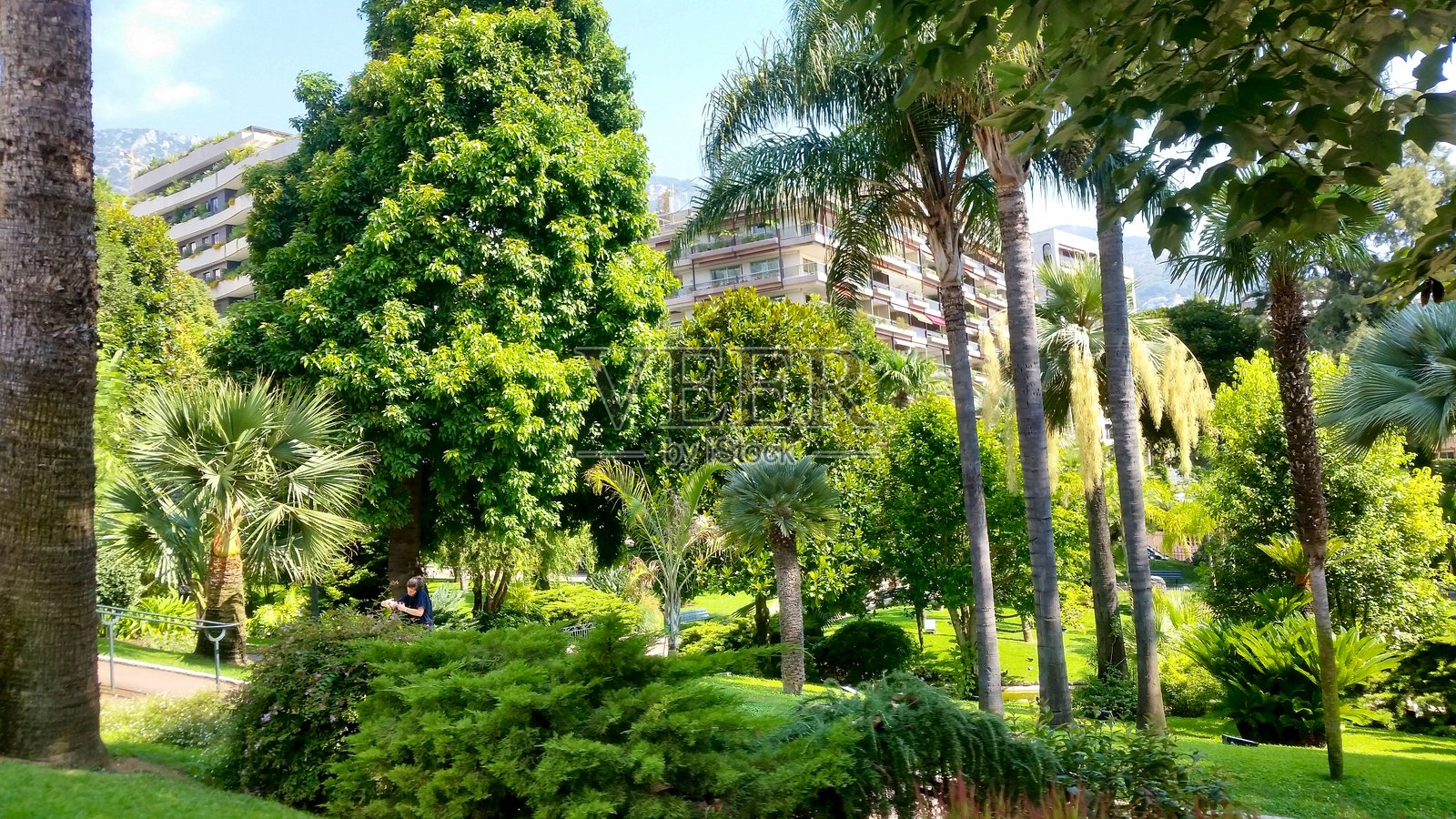 摩纳哥的郁郁葱葱的花园与建筑照片摄影图片