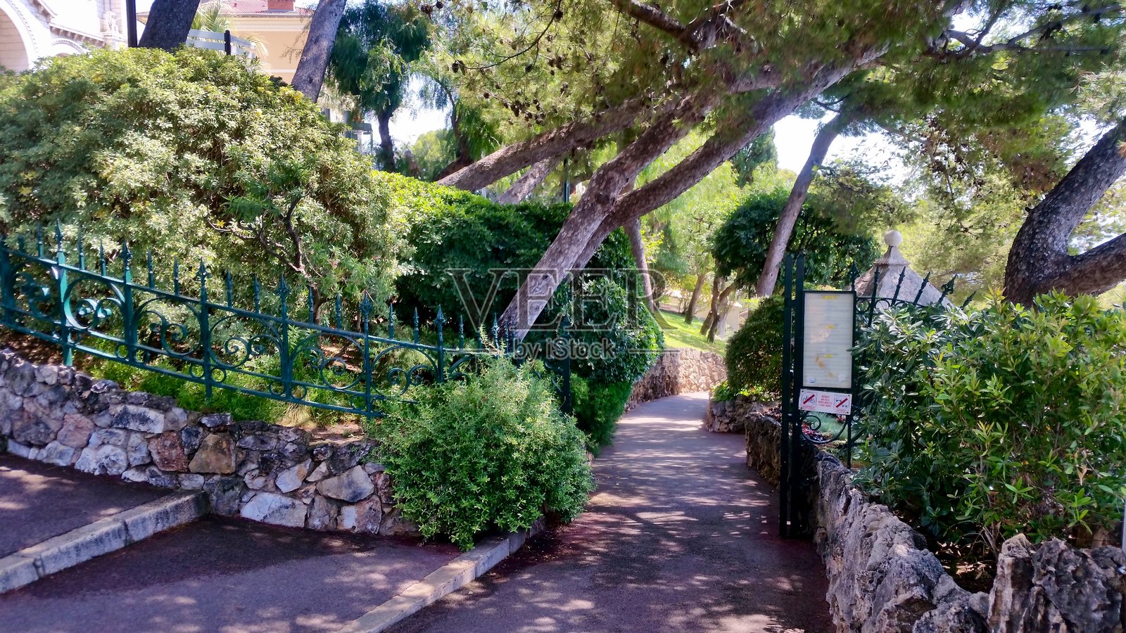 通往摩纳哥绿色绿洲的宁静小径照片摄影图片