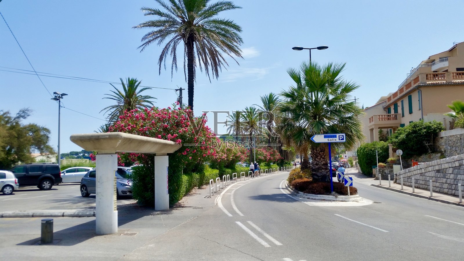 安提布阳光明媚的街道，棕榈树和夹竹桃环绕照片摄影图片