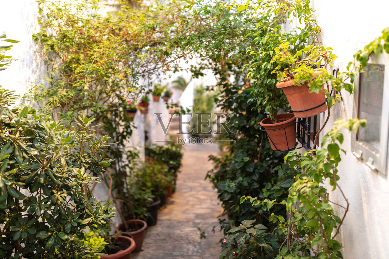 西班牙安达卢西亚的卡萨雷斯。2025年9月5日。传统街道，白墙上装饰着鲜花。照片摄影图片