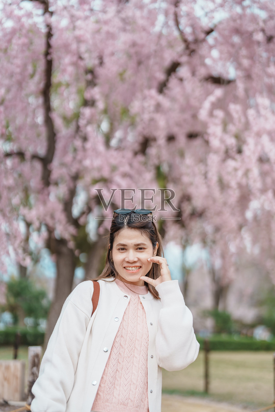 春天，女性游客在山形城遗址的加贺公园观光，樱花盛开，快乐的旅行者在日本东北地区的山形县旅行。著名的旅游和度假地标。照片摄影图片