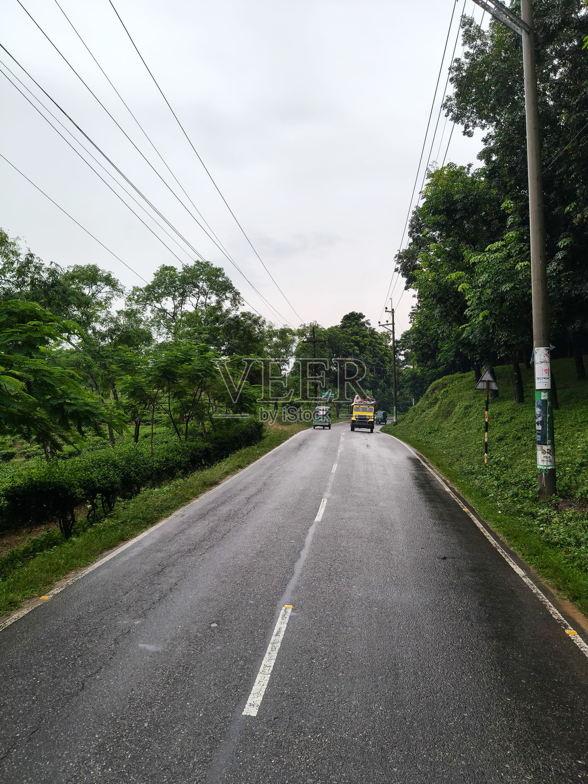 孟加拉国锡尔赫特的斯里曼甘尔茶谷。照片摄影图片
