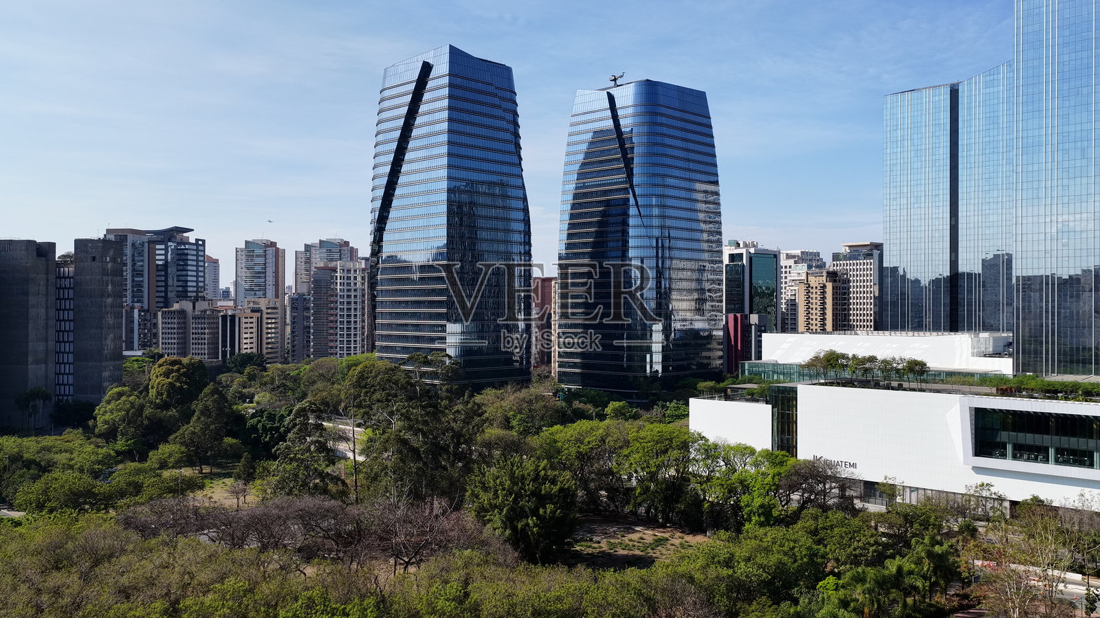 巴西圣保罗市中心著名的人民公园。照片摄影图片