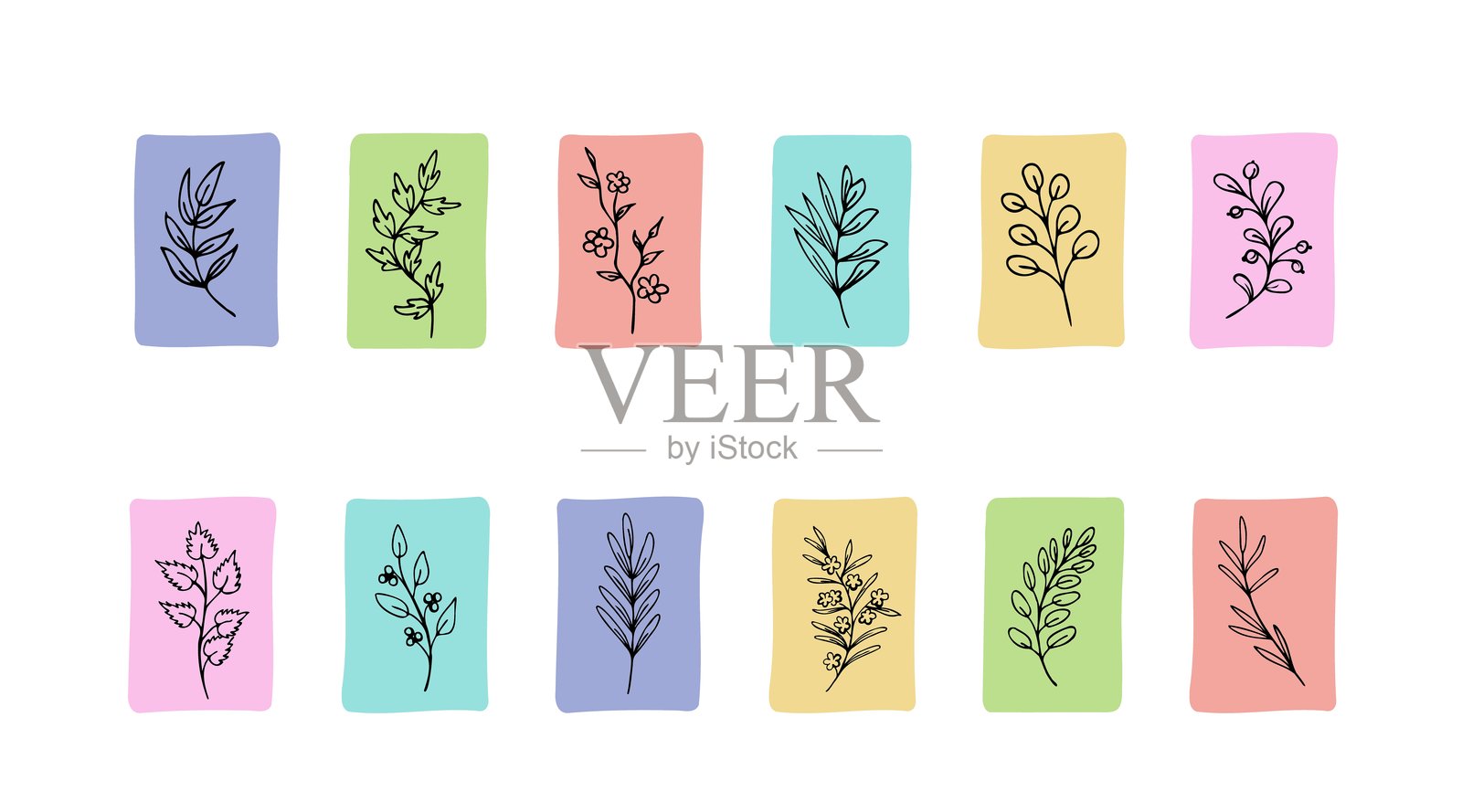 幻想叶子，草药。素描集插画图片素材