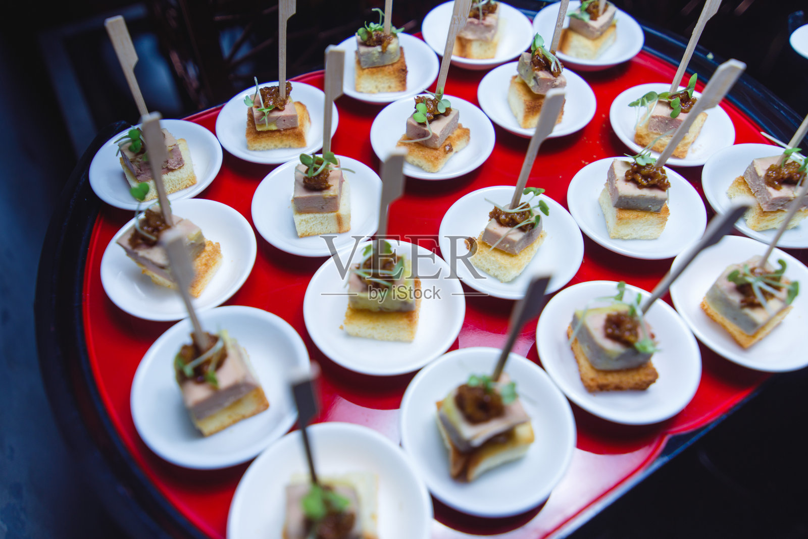 红色托盘上的美味肉 pâté 开胃小吃照片摄影图片