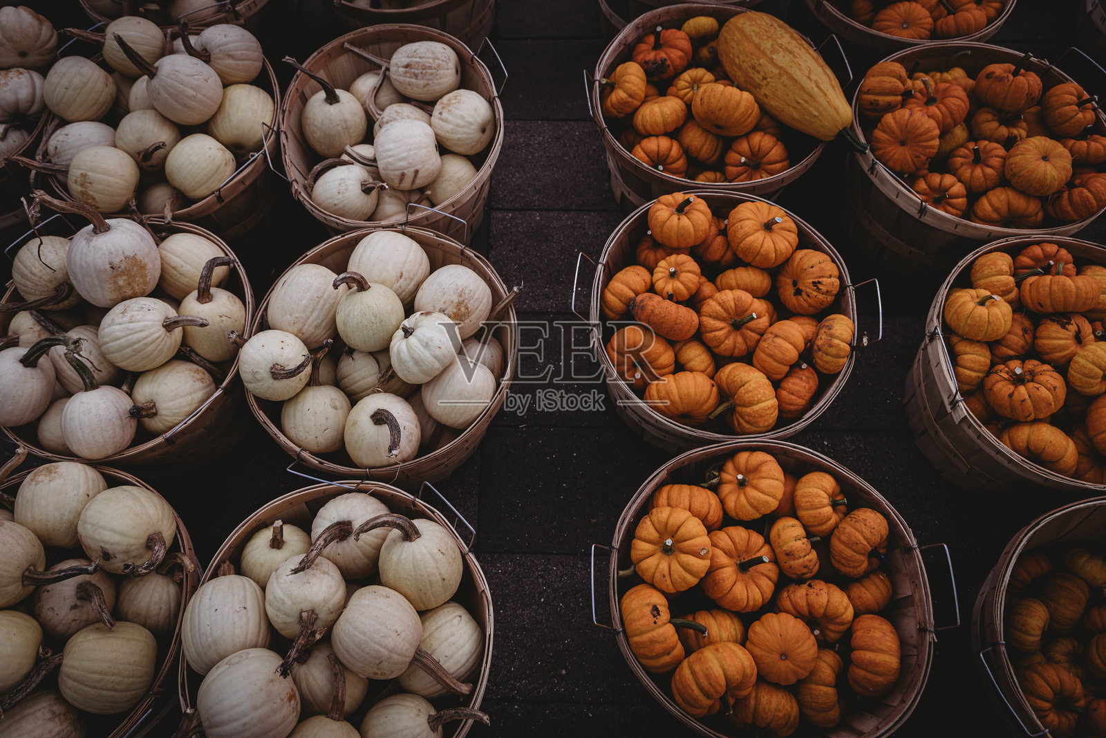 秋天的南瓜照片摄影图片