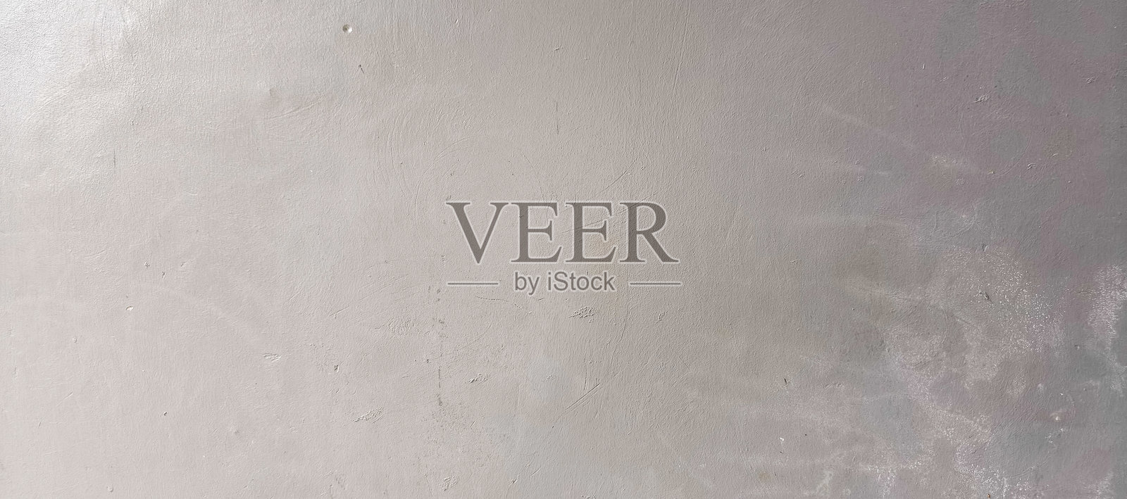 灰色猫咪与灰色背景照片摄影图片