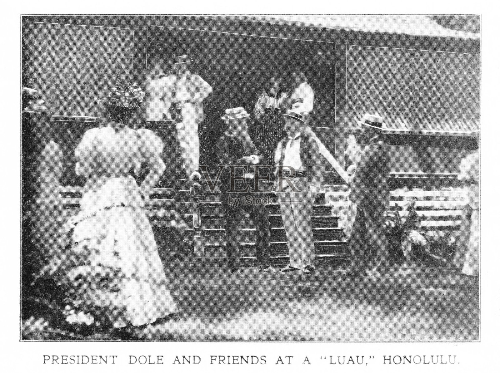 多尔在夏威夷草裙舞会上招待贵宾，19世纪美国文化与历史插画图片素材