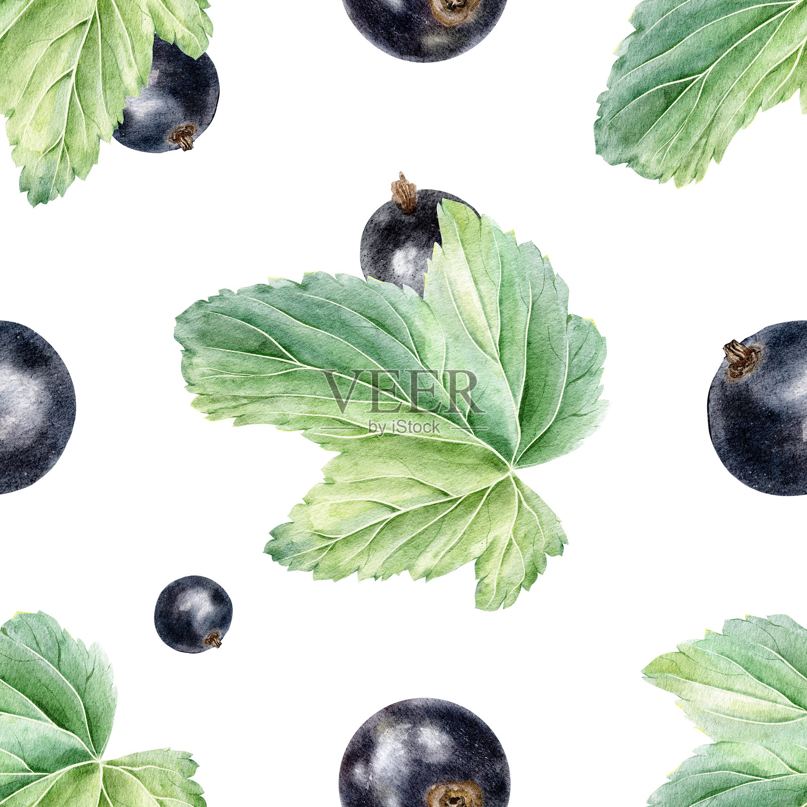 黑加仑浆果和叶子的夏季表面无缝图案设计。花园浆果的印刷品。手绘植物背景，适用于化妆品包装、卡片、面料和桌布。插画图片素材