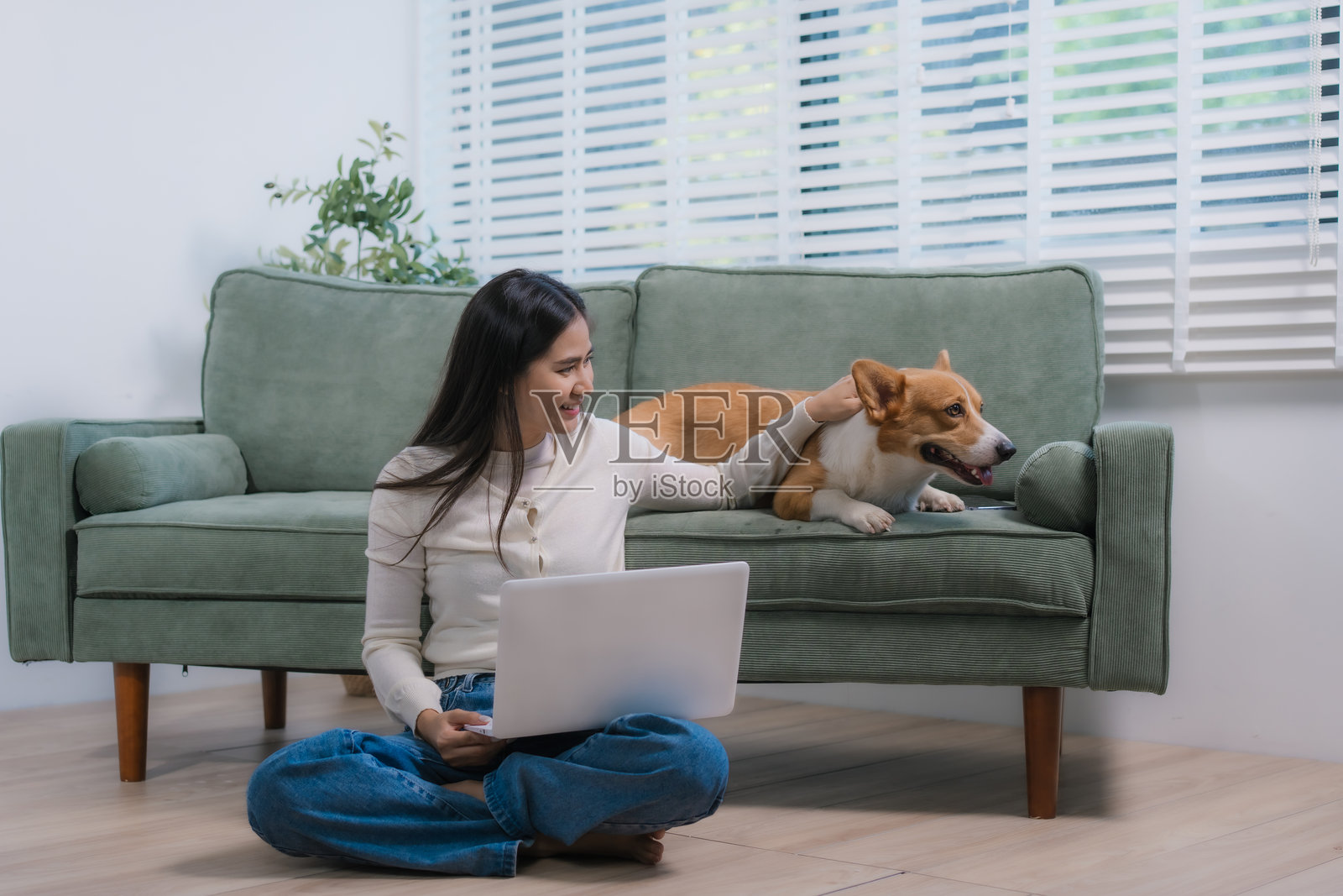 一位可爱的亚洲女性在沙发上与她的柯基犬一起在家工作，使用笔记本电脑，享受轻松的环境。他们的关系体现了平衡的工作与生活、休闲的科技驱动生产力和愉快的陪伴。照片摄影图片