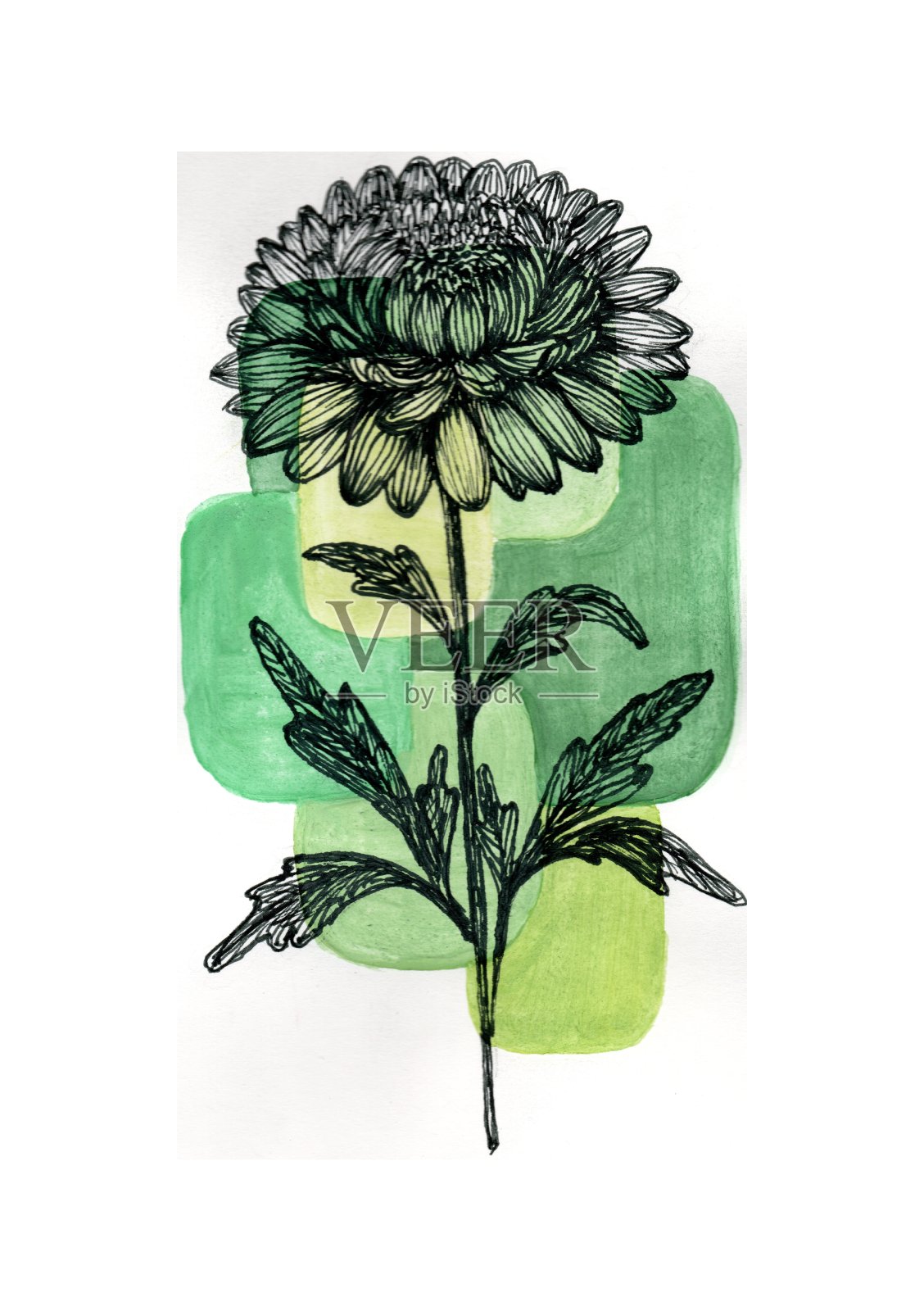 绽放的几何形状。插画图片素材