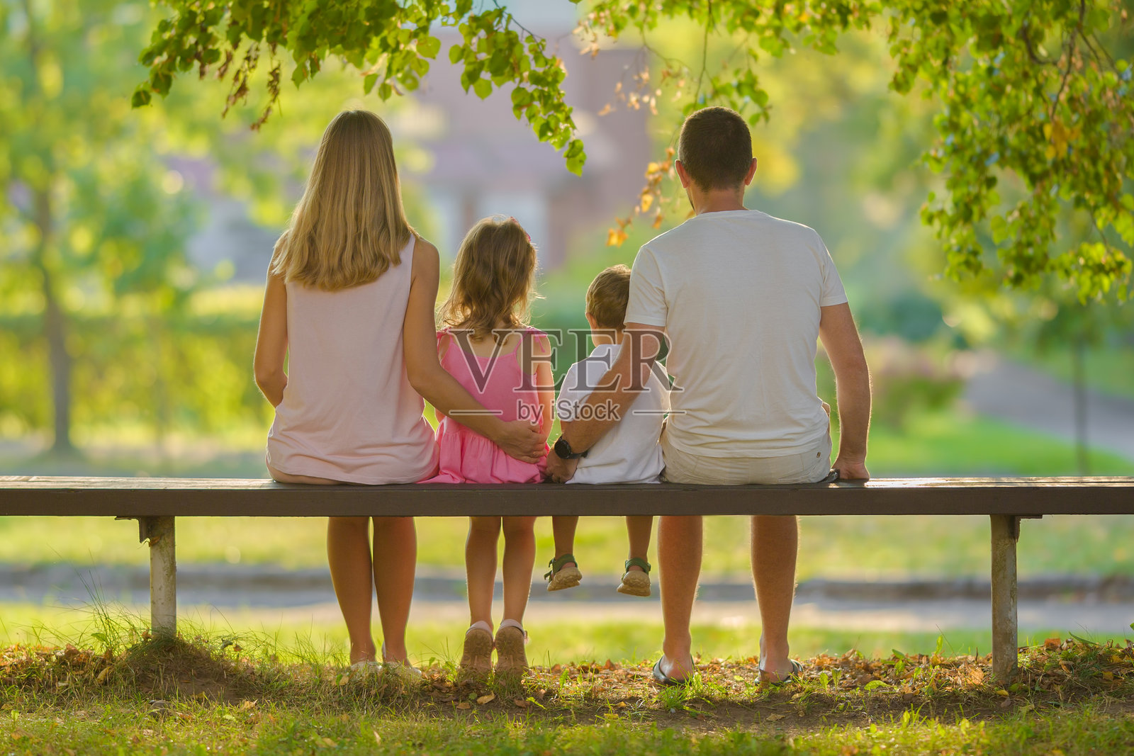 母亲、父亲、女儿和小儿子相互拥抱，坐在木长椅上，凝视着阳光明媚的夏日公园。家庭在大自然中共度时光。背影。照片摄影图片